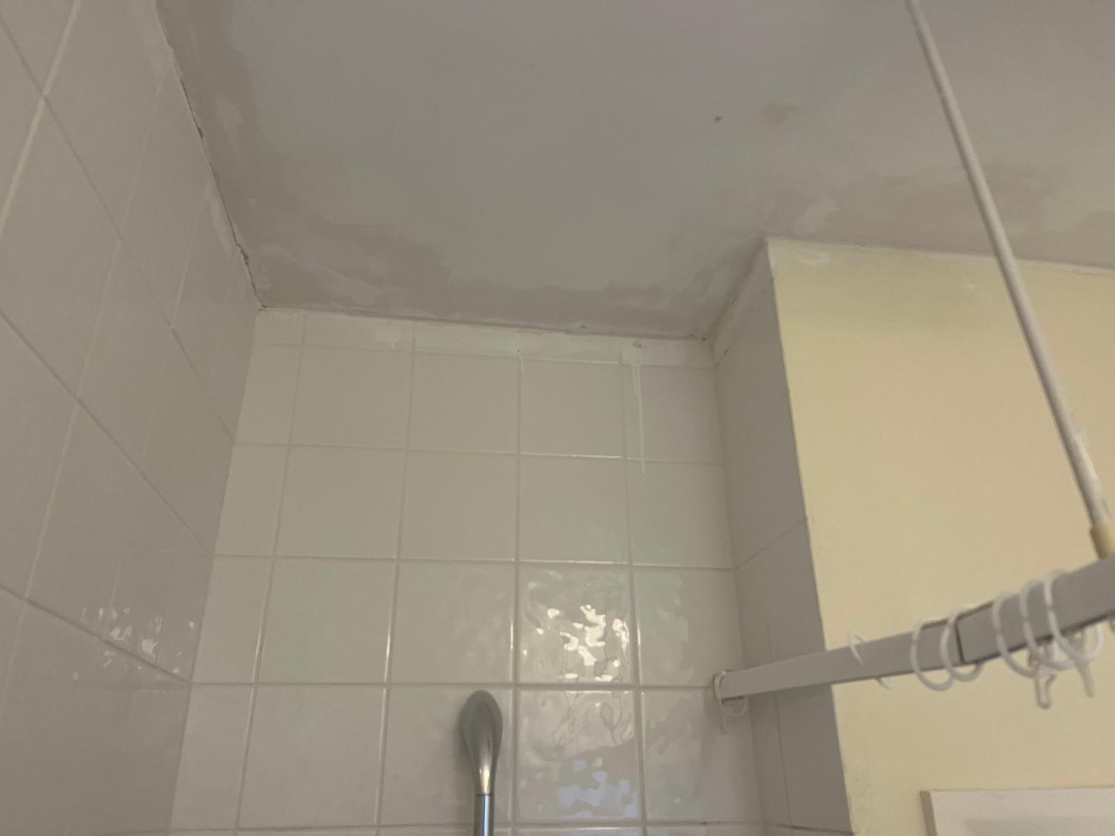 Bathroom ceiling patched before painting